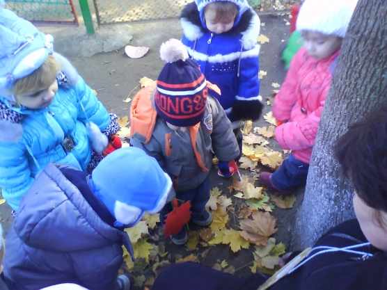 Дети рассматривают осенние листья