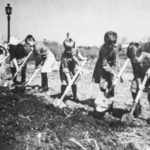 Дети копают землю в поле