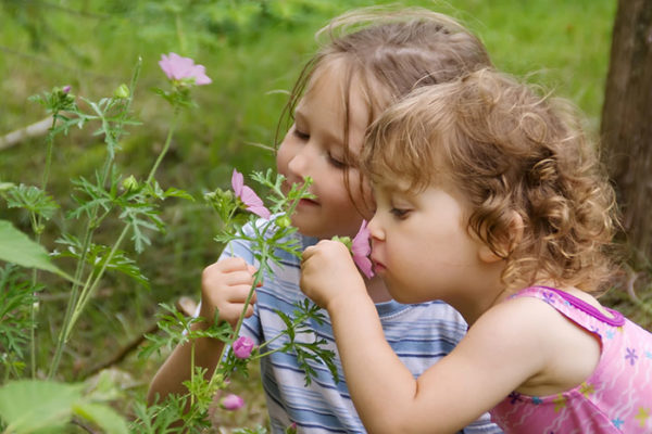 Две девочки нюхают цветы