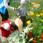 Малыши и воспитатель около цветочной клумбы