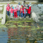 Группа детей рассматривает уток, плавающих в пруду