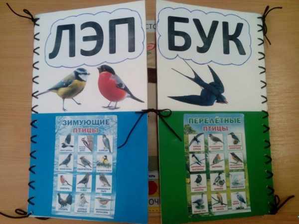 На обложке изображены зимующие и перелётные птицы
