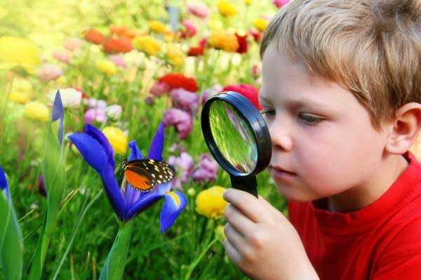 Мальчик через лупу рассматривает яркую бабочку на цветке