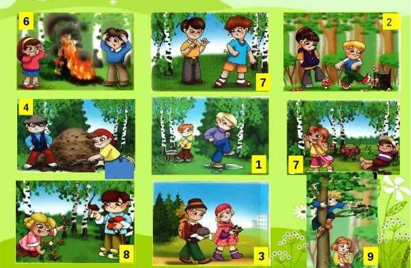 Картинки с правилами поведения в лесу