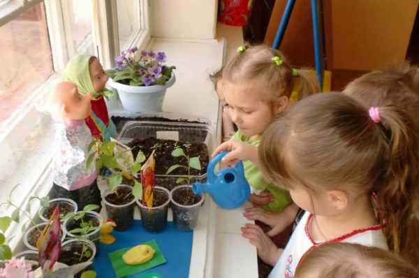 Дети поливают комнатные растения