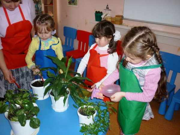 Дети под контролем воспитателя ухаживают за растениями