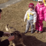Воспитательница кормит собаку, дети наблюдают