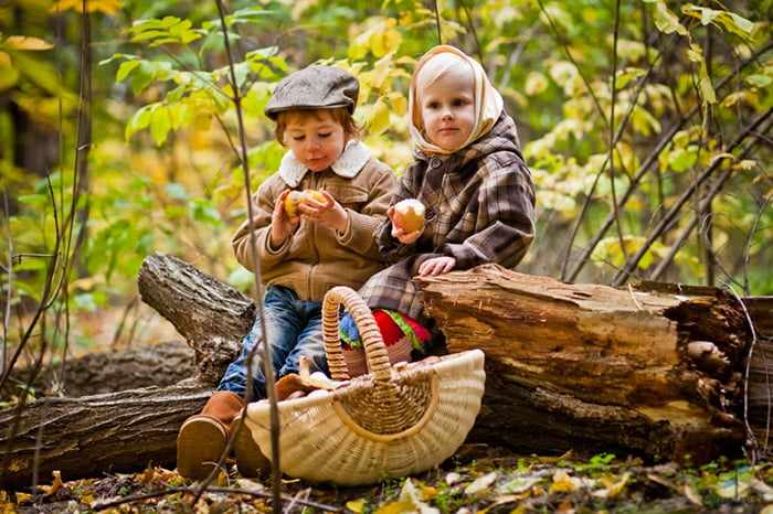 Дети на пикнике в лесу