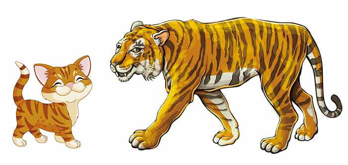 Котенок и тигр