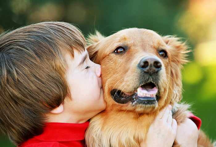 Ребенок целует собаку