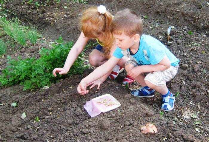 Дети сажают семена