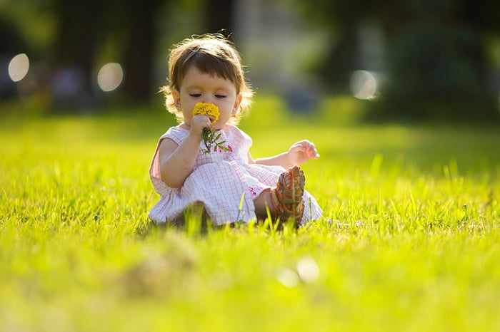 Маленькая девочка на газоне нюхает цветок