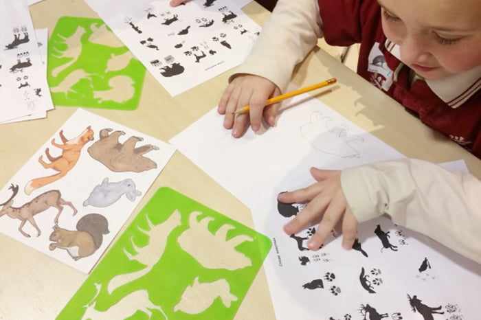 Ребенок рисует зверей по трафаретам