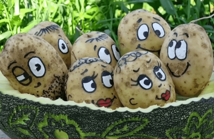 Веселые мордочки из картошки