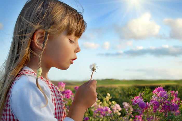 Девочка в цветущем поле