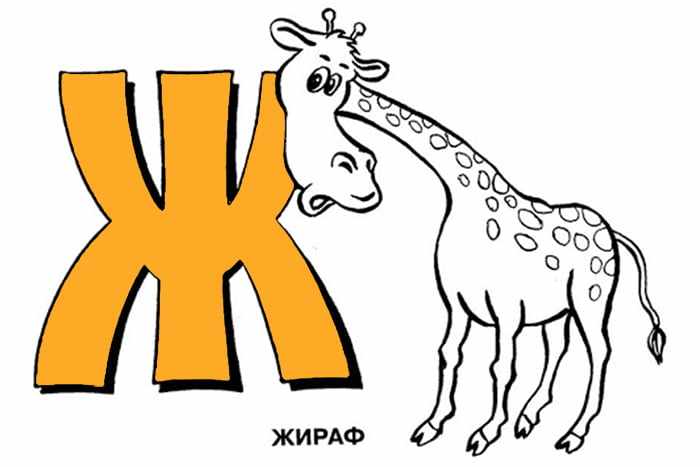 Жираф и буква Ж