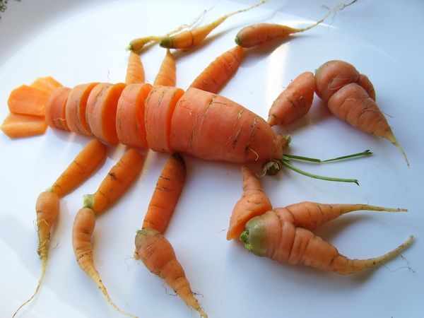 Рак из морковки