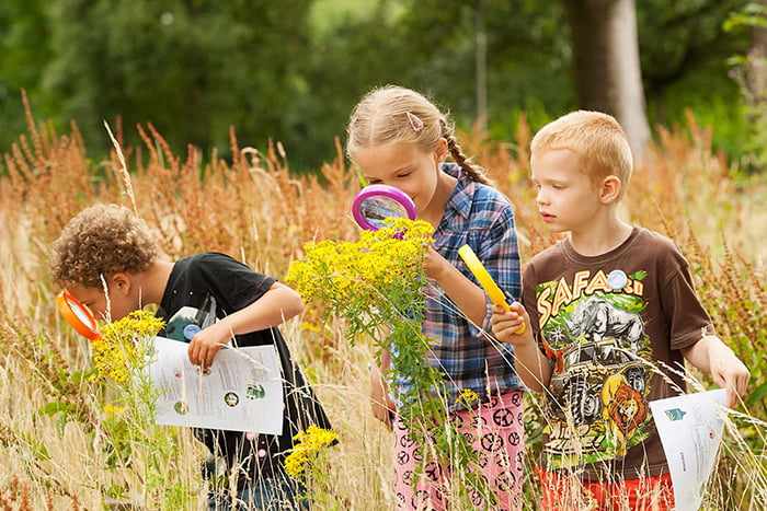Дети изучают растения летом