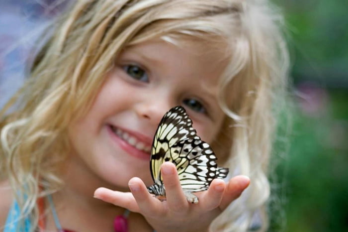 Девочка держит бабочку на ладони