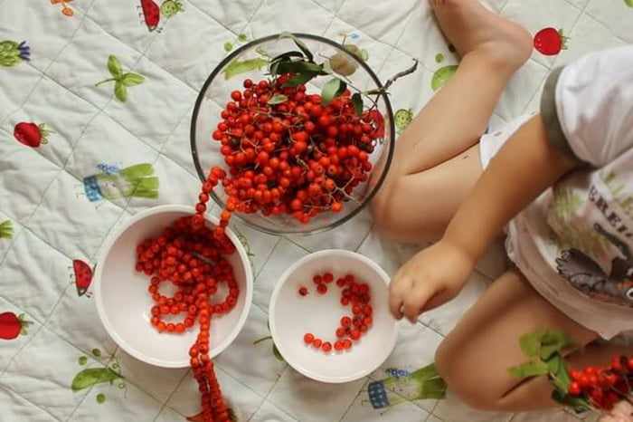 Ребенок играет с ягодами рябины