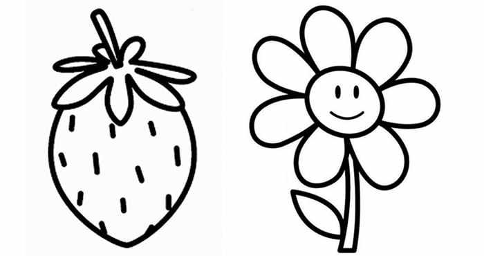 Контуры для рисования цветок и клубника