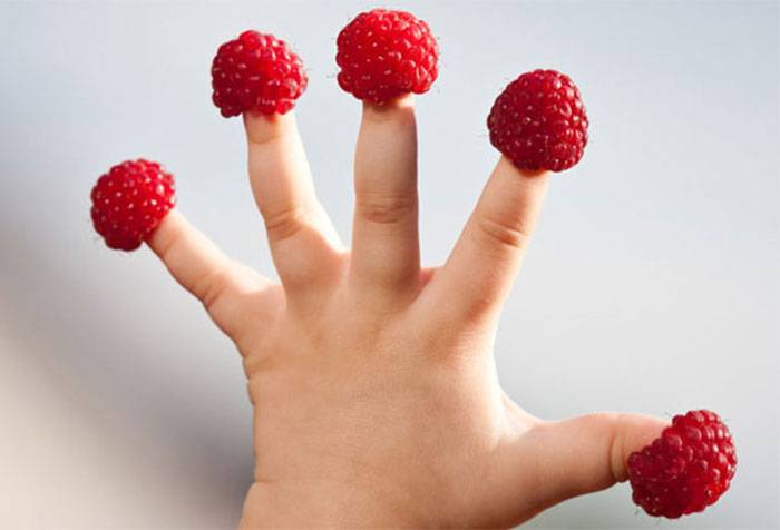 Ягоды малины на пальчиках ребенка